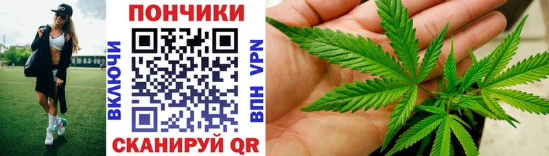 Бошки Шишки конопля Заречный